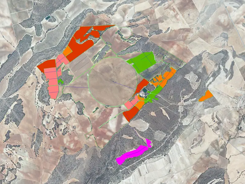 Ortofoto de la Finca Montesinos con las parcelas marcadas por colores