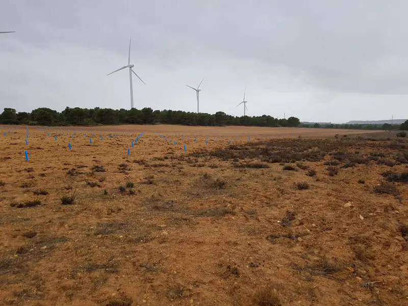 Terreno de la finca con aerogeneradores al fondo